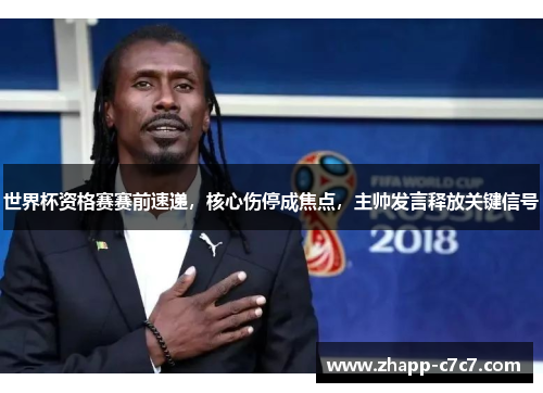 世界杯资格赛赛前速递，核心伤停成焦点，主帅发言释放关键信号