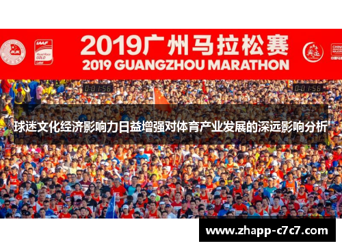 球迷文化经济影响力日益增强对体育产业发展的深远影响分析