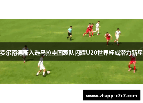 费尔南德斯入选乌拉圭国家队闪耀U20世界杯成潜力新星 费尔南德斯入选乌拉圭国家队闪耀U20世界杯成潜力新星
