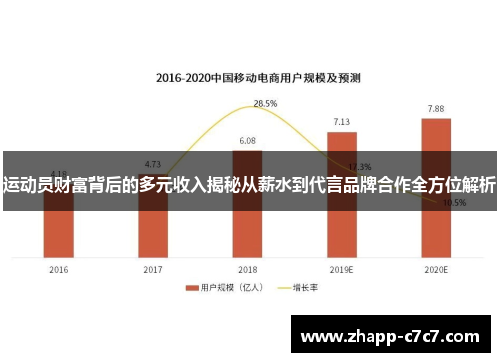运动员财富背后的多元收入揭秘从薪水到代言品牌合作全方位解析