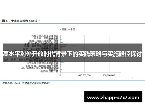 高水平对外开放时代背景下的实践策略与实施路径探讨 高水平对外开放时代背景下的实践策略与实施路径探讨